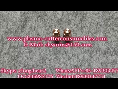 Les États membres peuvent prévoir des mesures de précaution.